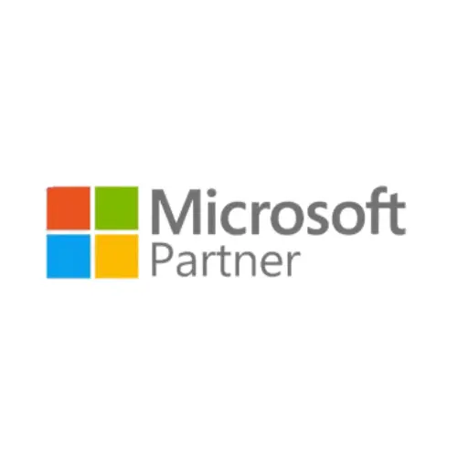 microsoft partner - about us - fsi information techology