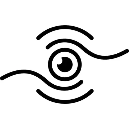 vision about us - fsi information technology